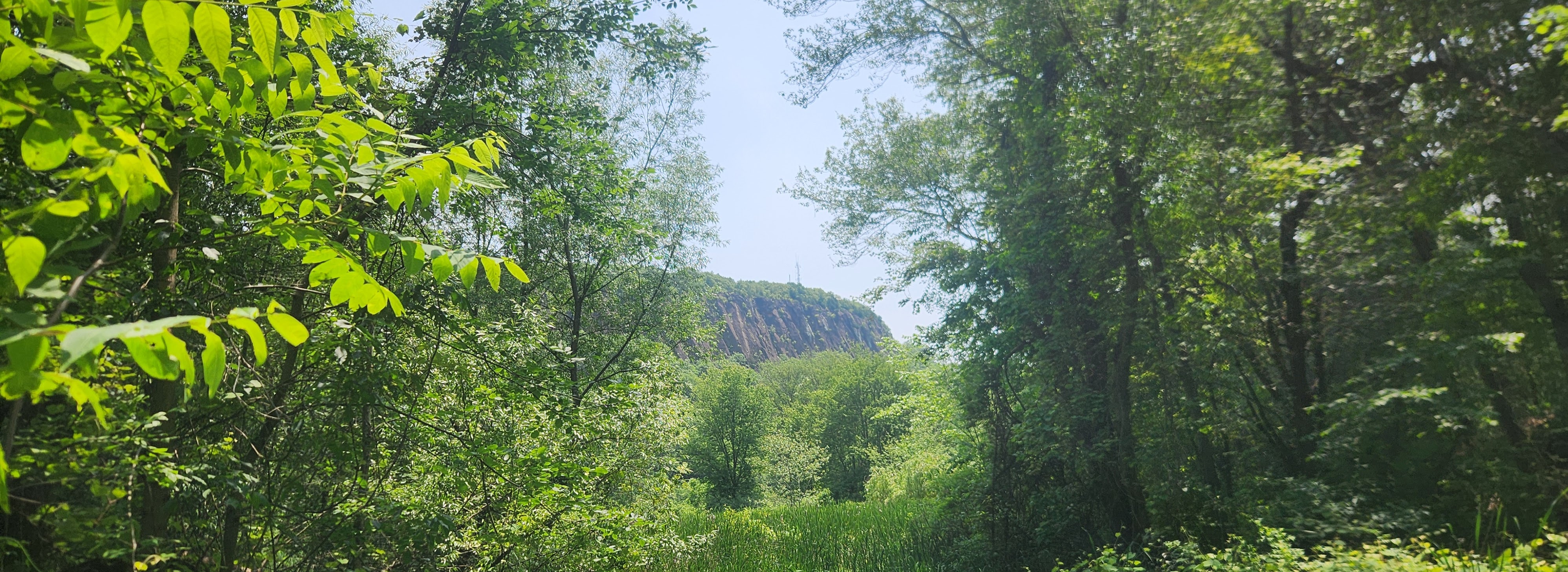 East Rock Metrics hero banner