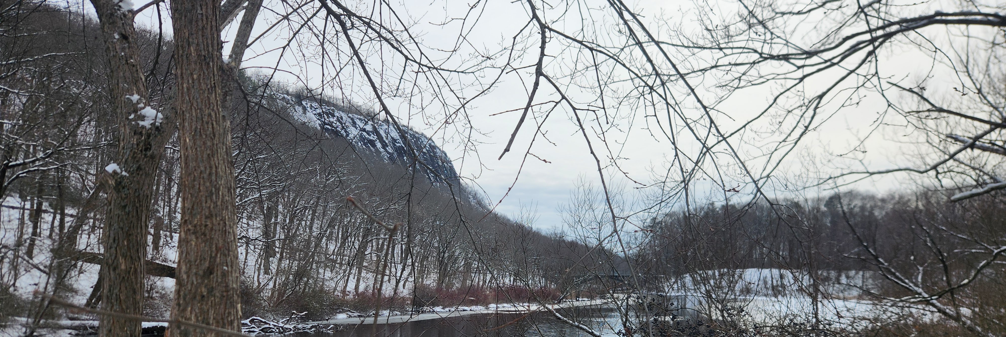 AI Consulting hero banner